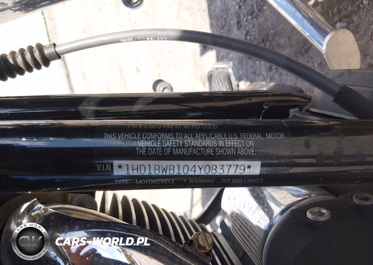 2004 Harley-Davidson Flstci VIN:1HD1BWB104Y083779 - 10