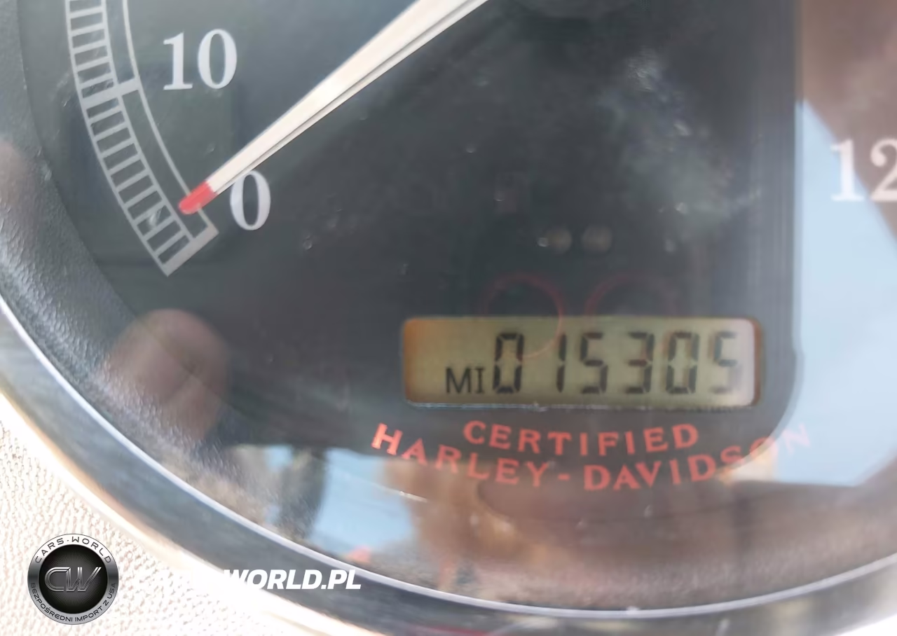 2004 Harley-Davidson Flstci VIN:1HD1BWB104Y083779 - 11