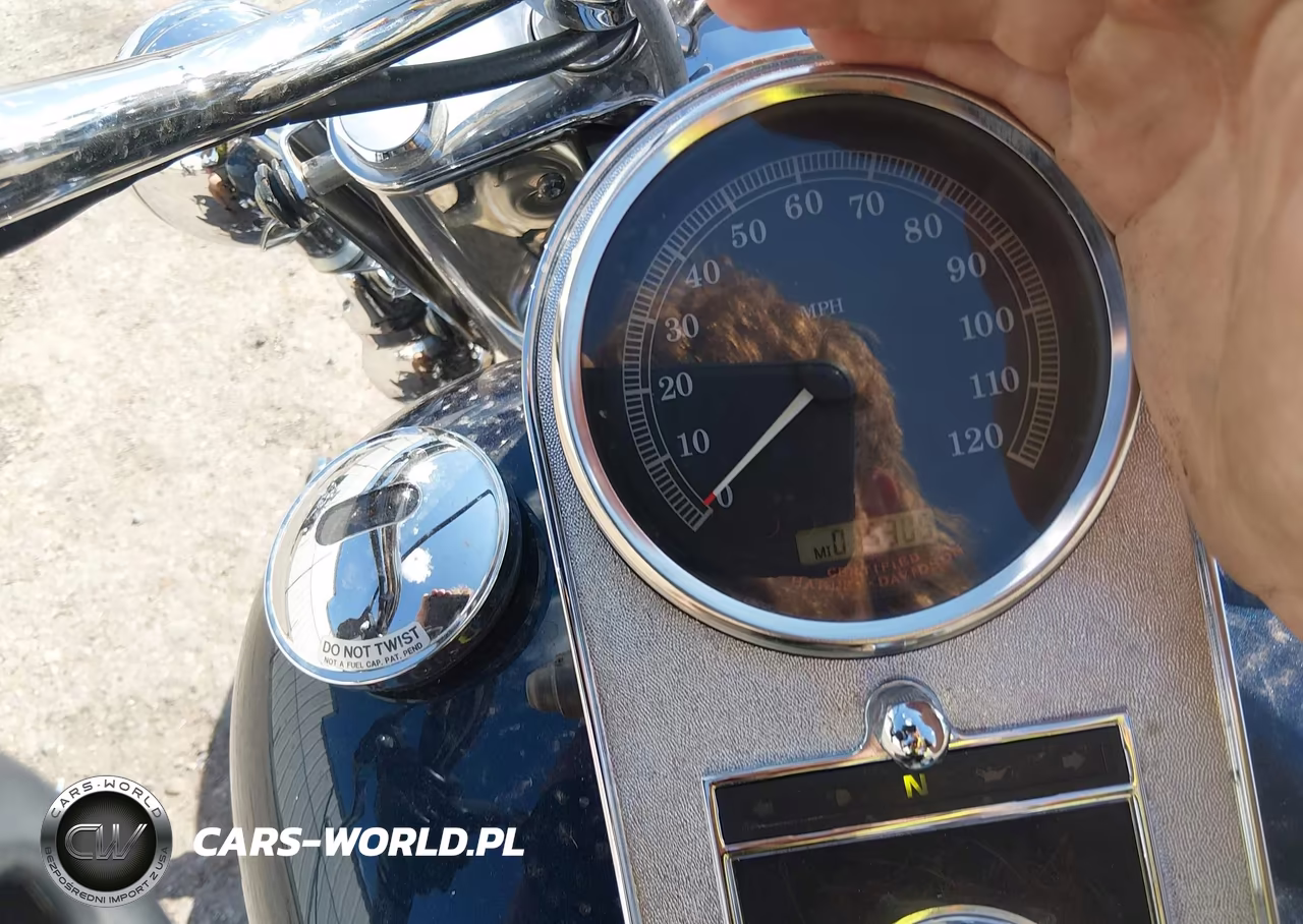 2004 Harley-Davidson Flstci VIN:1HD1BWB104Y083779 - 7