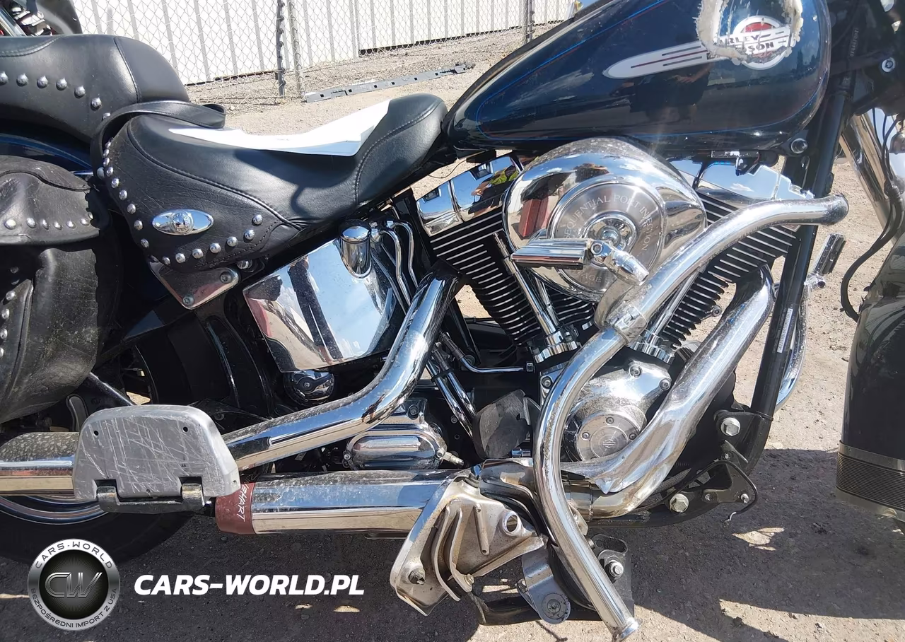 2004 Harley-Davidson Flstci VIN:1HD1BWB104Y083779 - 8