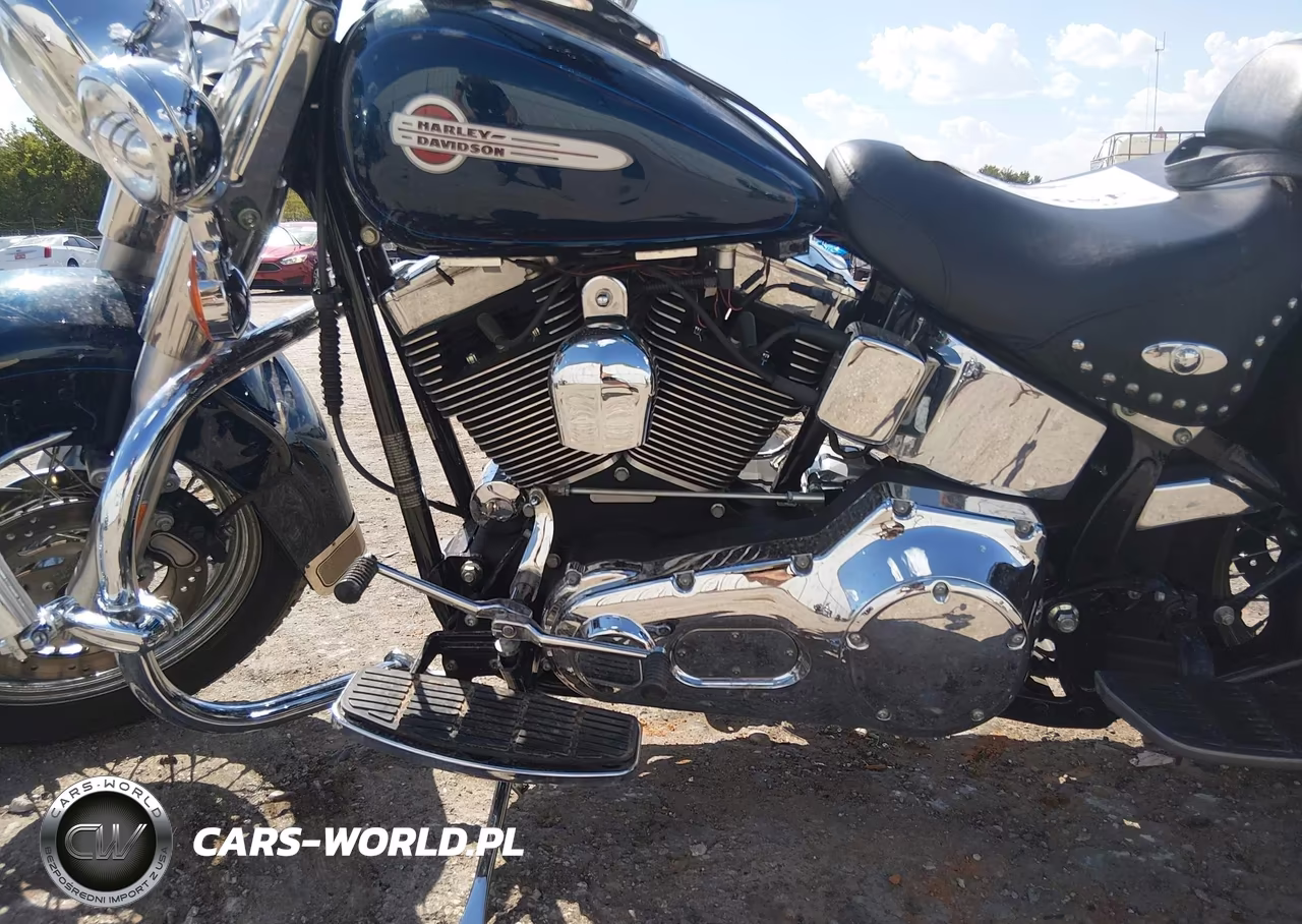 2004 Harley-Davidson Flstci VIN:1HD1BWB104Y083779 - 9