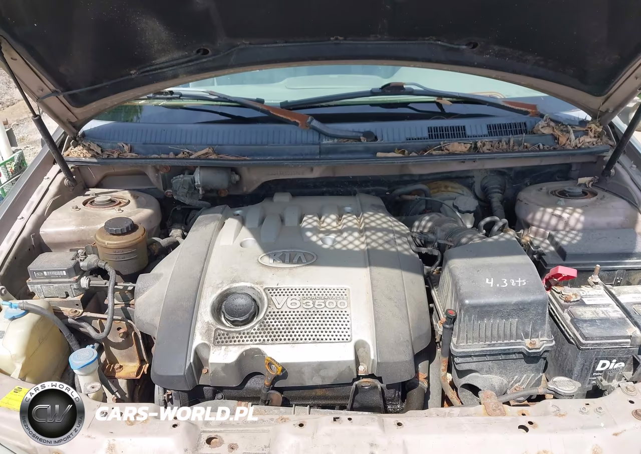 2004 Kia Sedona Ex-Lx VIN:KNDUP131X46537789 - 10