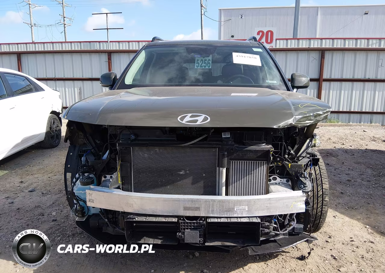 2025 Hyundai Santa Fe Sel VIN:5NMP2DGL7SH096924 - 13