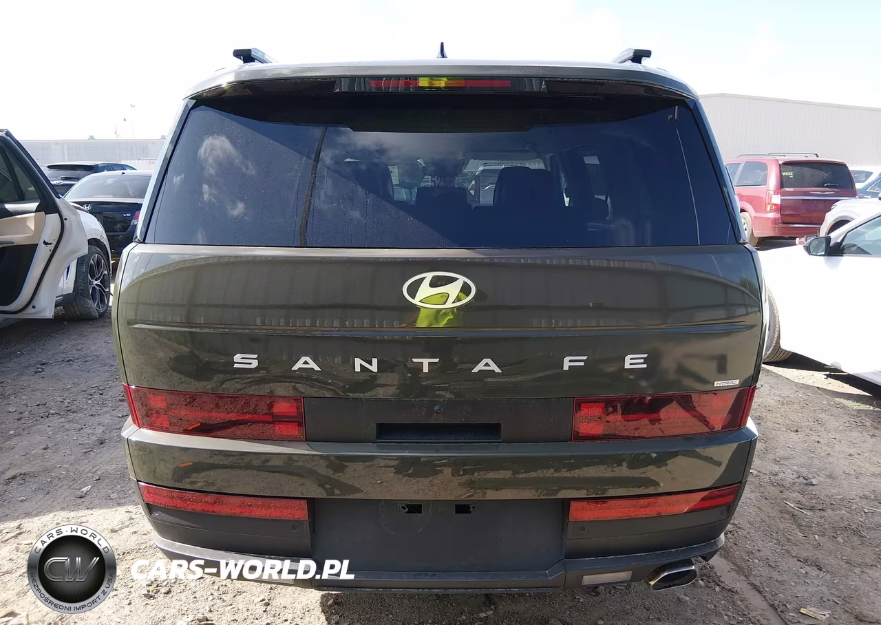 2025 Hyundai Santa Fe Sel VIN:5NMP2DGL7SH096924 - 17