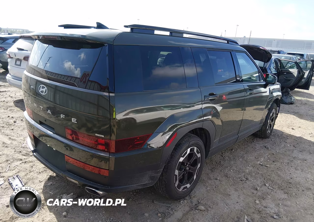 2025 Hyundai Santa Fe Sel VIN:5NMP2DGL7SH096924 - 4