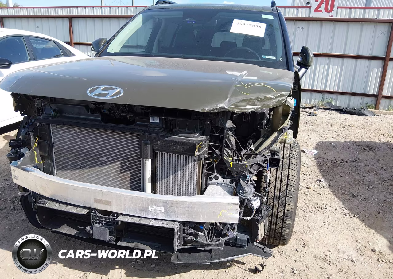 2025 Hyundai Santa Fe Sel VIN:5NMP2DGL7SH096924 - 6
