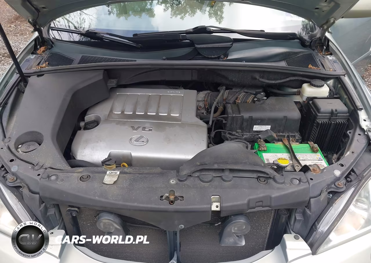 2009 Lexus Rx 350 VIN:2T2HK31U99C127117 - 10