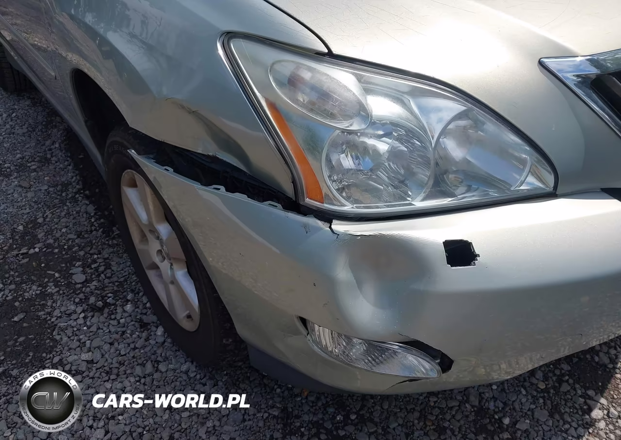2009 Lexus Rx 350 VIN:2T2HK31U99C127117 - 6