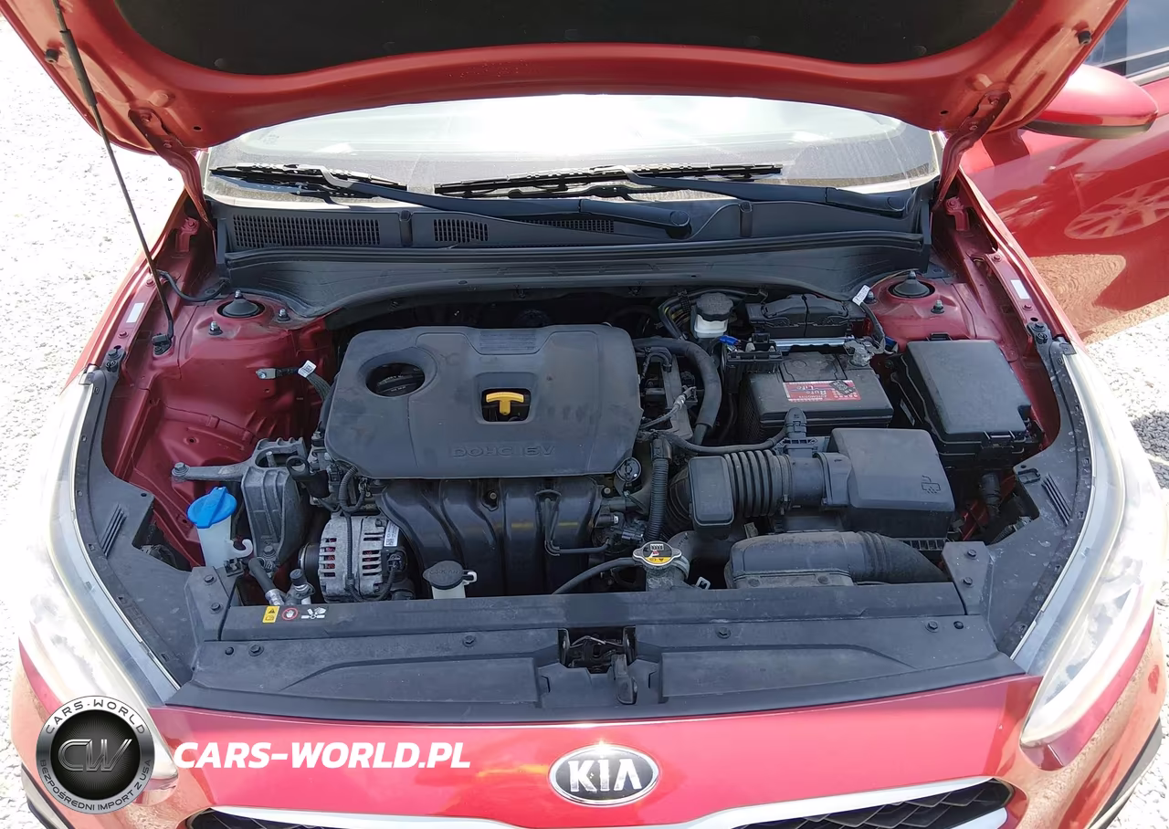 2019 Kia Forte Lxs VIN:3KPF24AD2KE022069 - 10
