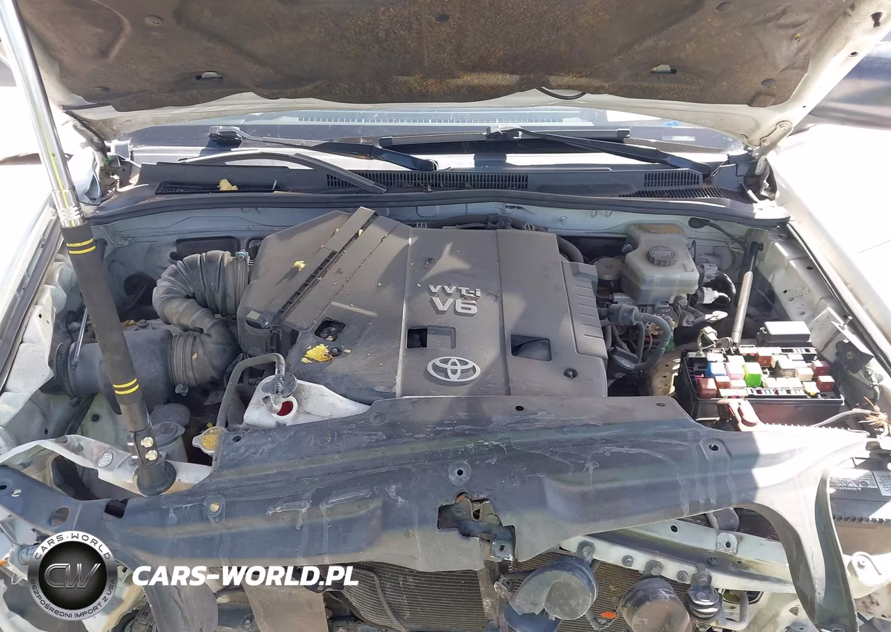2004 Toyota 4Runner Sr5 V6 VIN:JTEZU14R740041933 - 10