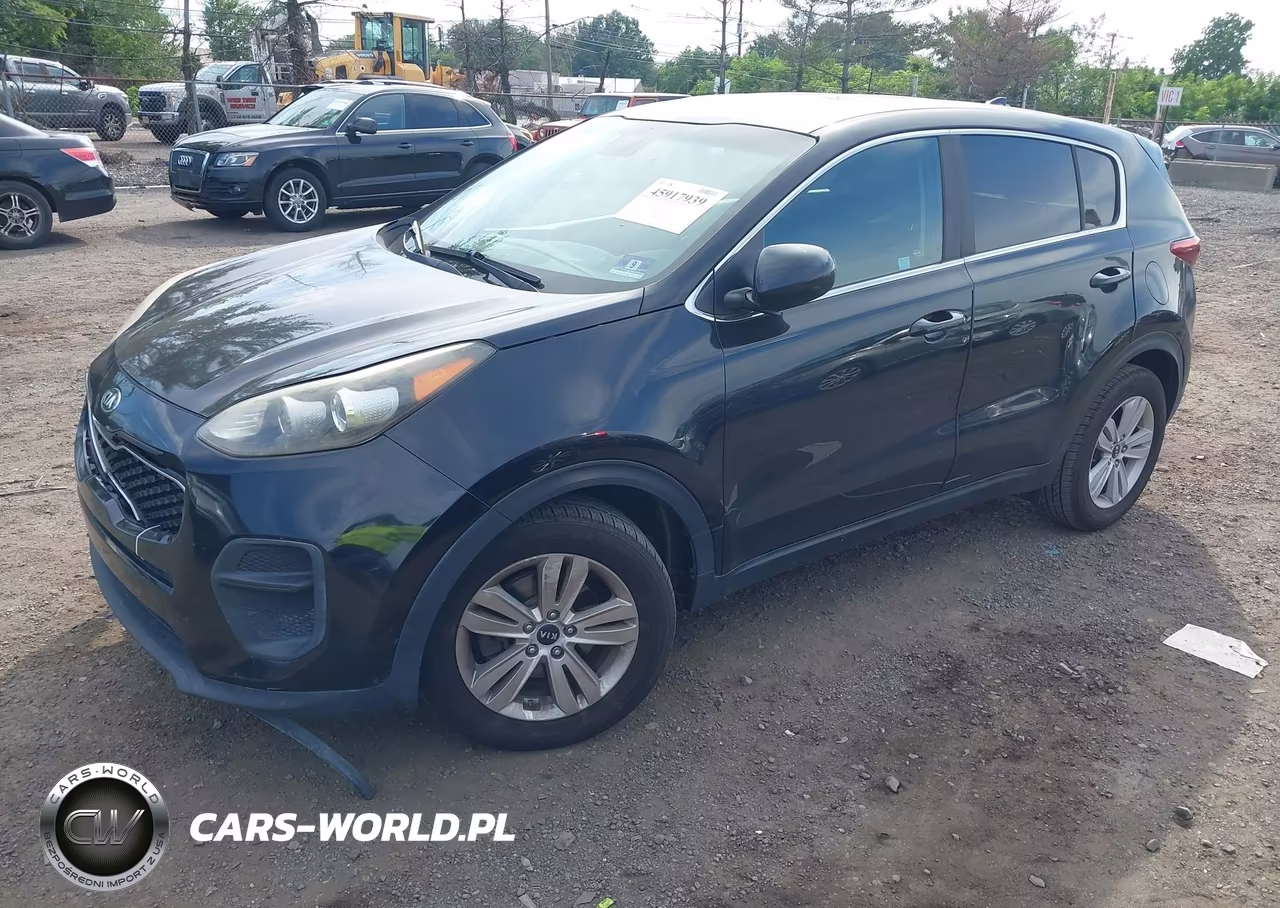 2017 Kia Sportage Lx VIN:KNDPM3AC8H7172308 - 2
