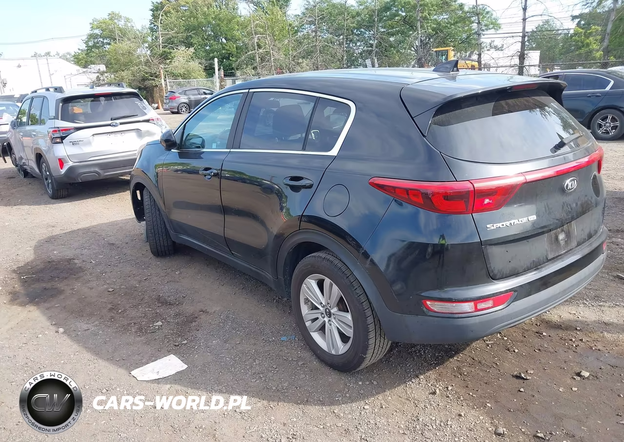 2017 Kia Sportage Lx VIN:KNDPM3AC8H7172308 - 3