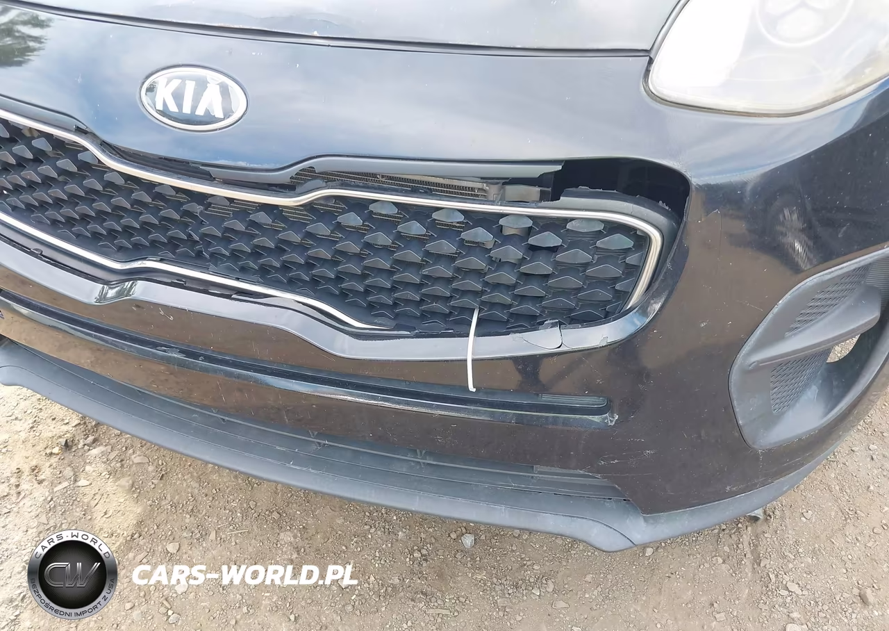 2017 Kia Sportage Lx VIN:KNDPM3AC8H7172308 - 6