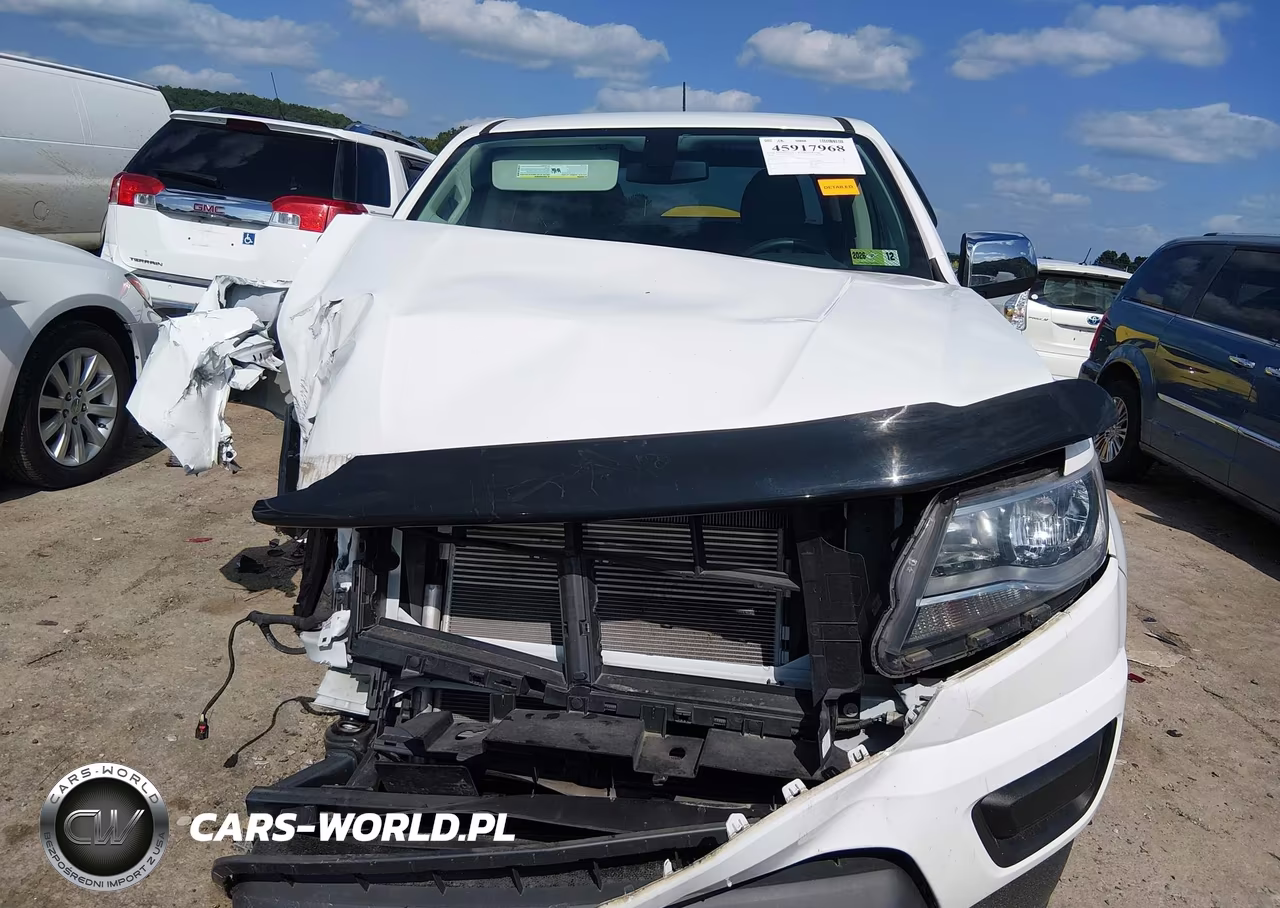 2020 Chevrolet Colorado 4Wd Long Box Wt VIN:1GCGTBEN2L1218123 - 13