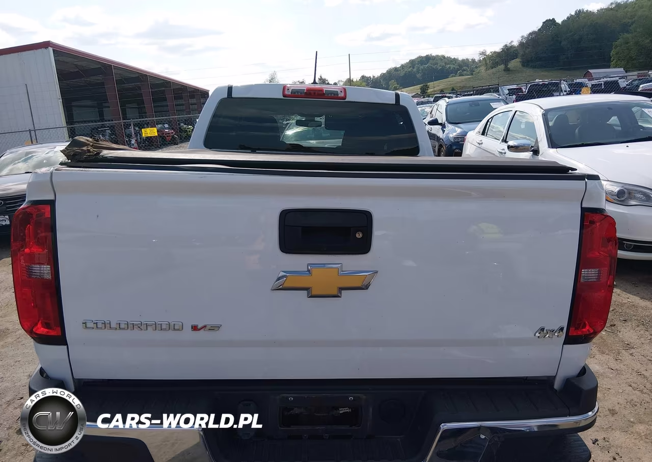 2020 Chevrolet Colorado 4Wd Long Box Wt VIN:1GCGTBEN2L1218123 - 17