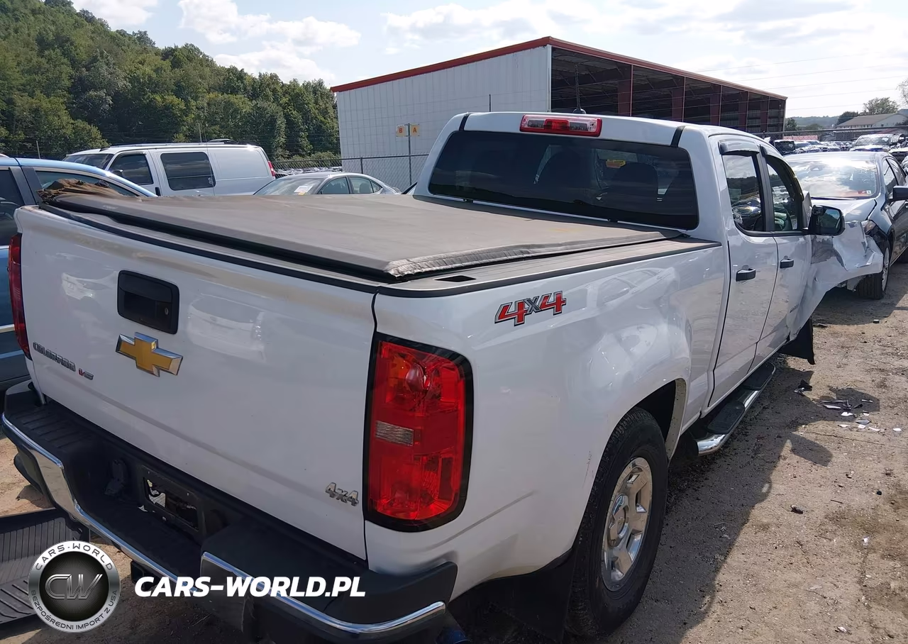 2020 Chevrolet Colorado 4Wd Long Box Wt VIN:1GCGTBEN2L1218123 - 4