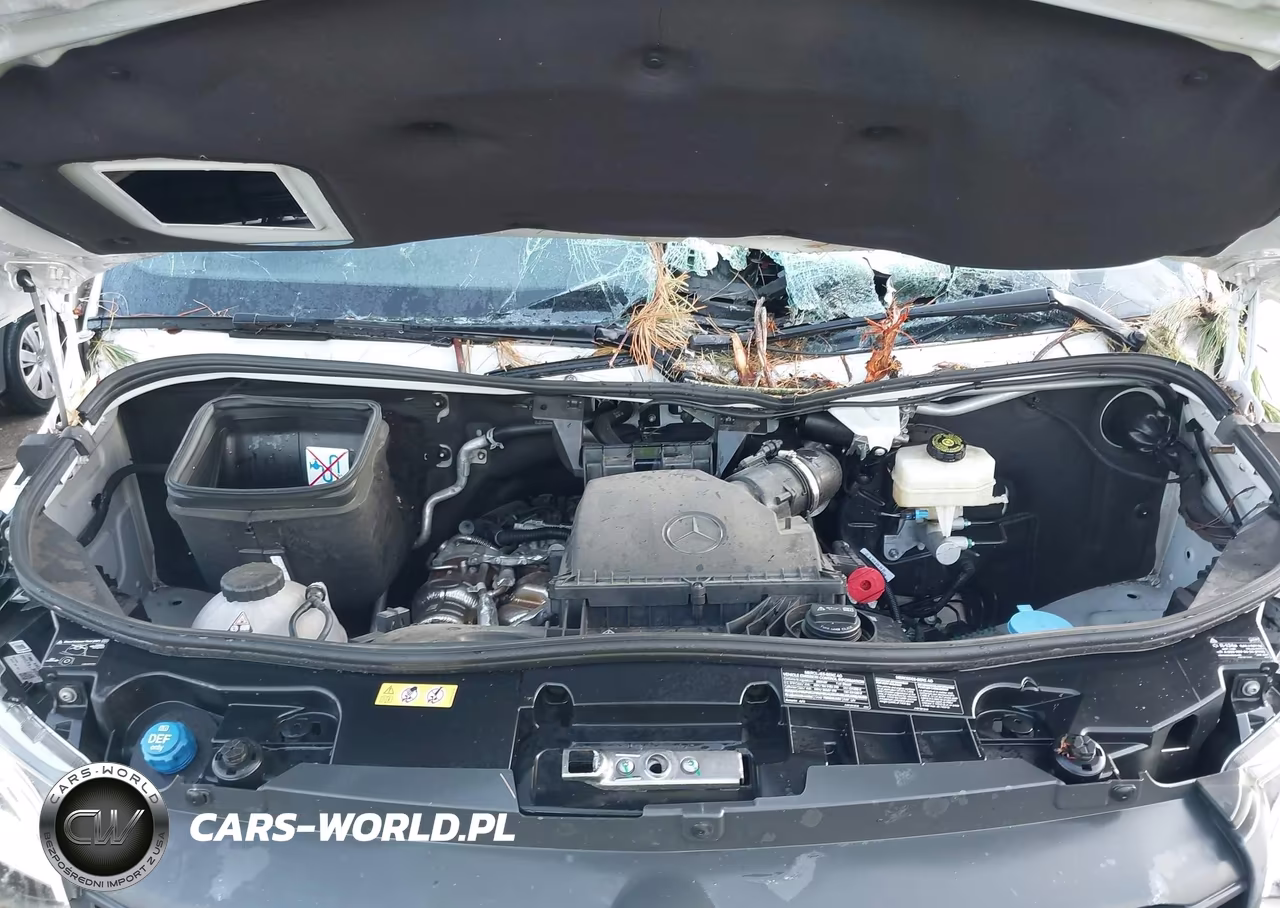 2023 Mercedes-Benz Sprinter 2500 High Roof 4-Cyl Diesel Ho VIN:W1W4NCHY0PT132560 - 10