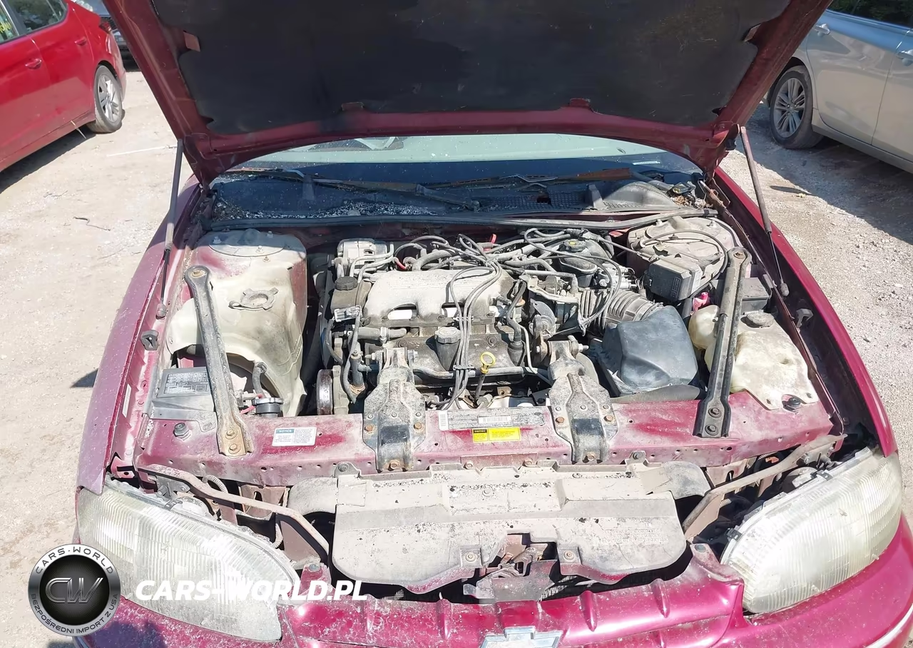 1995 Chevrolet Lumina Ls VIN:2G1WN52M0S1126898 - 10