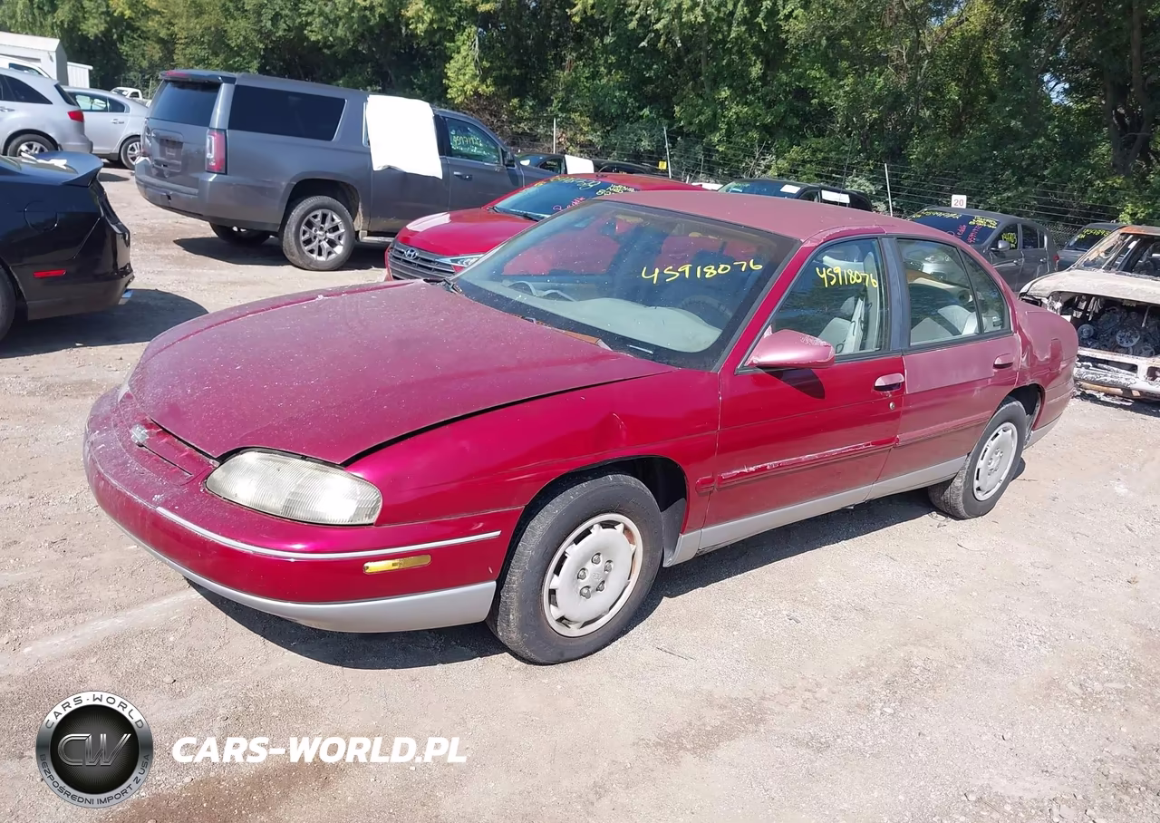 1995 Chevrolet Lumina Ls VIN:2G1WN52M0S1126898 - 2