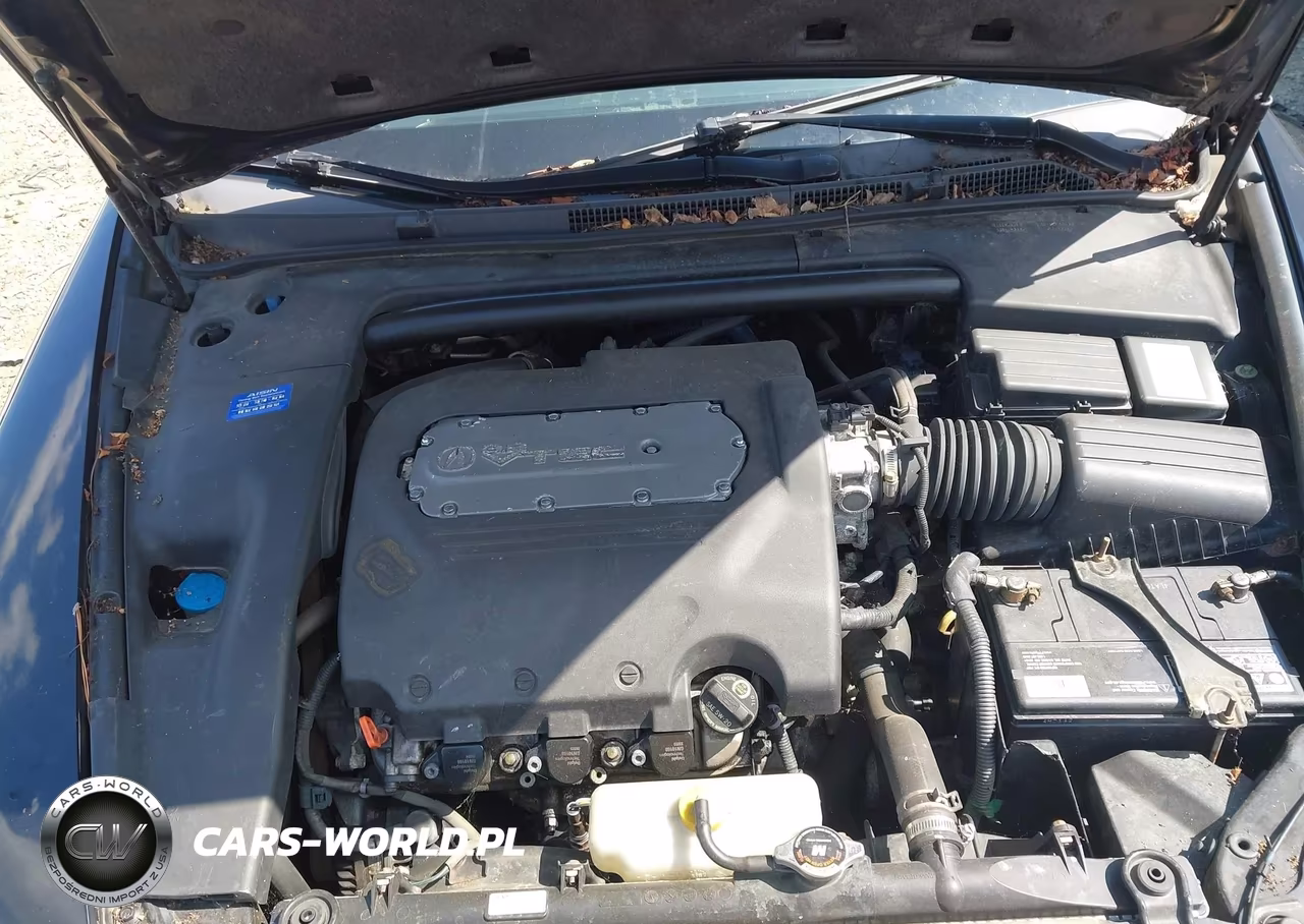 2005 Acura Tl VIN:19UUA66255A056528 - 10