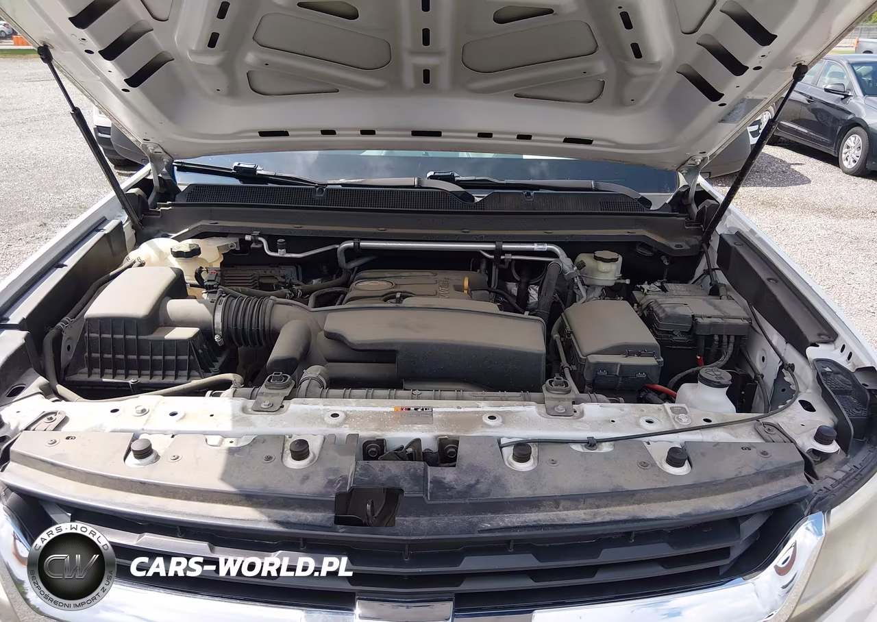 2016 Chevrolet Colorado 2Wd Wt VIN:1GCGSBEA6G1289556 - 10