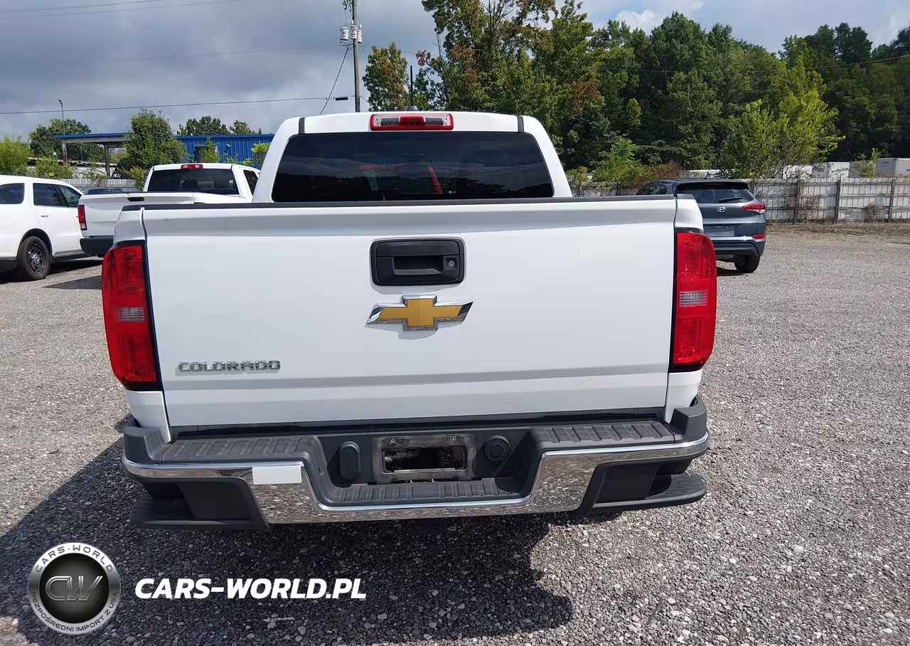 2016 Chevrolet Colorado 2Wd Wt VIN:1GCGSBEA6G1289556 - 20