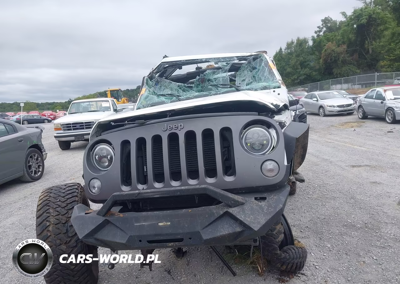 2017 Jeep Wrangler Unlimited Freedom 4X4 VIN:1C4HJWDG6HL604561 - 13