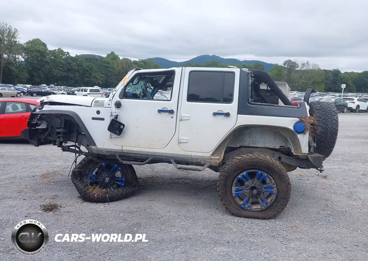 2017 Jeep Wrangler Unlimited Freedom 4X4 VIN:1C4HJWDG6HL604561 - 15