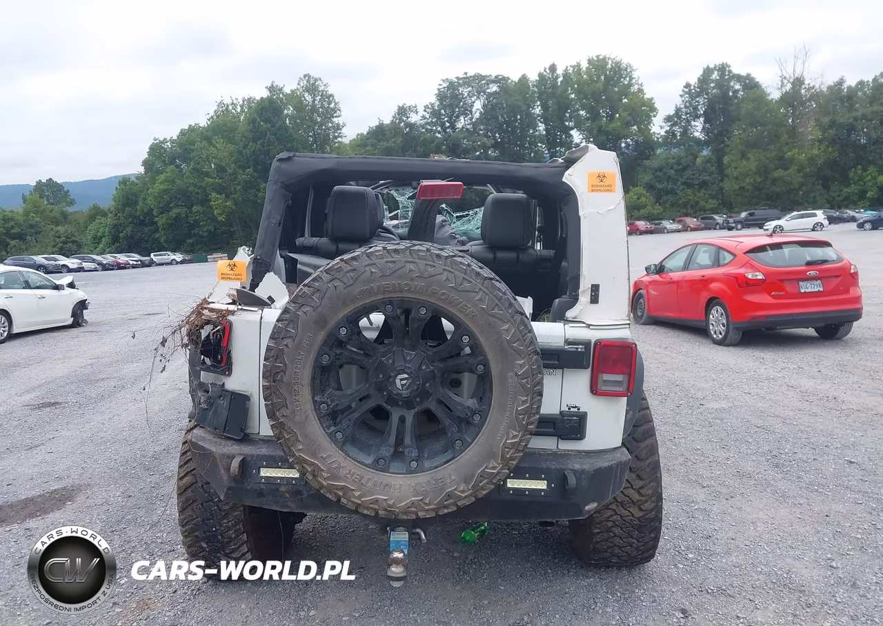 2017 Jeep Wrangler Unlimited Freedom 4X4 VIN:1C4HJWDG6HL604561 - 17