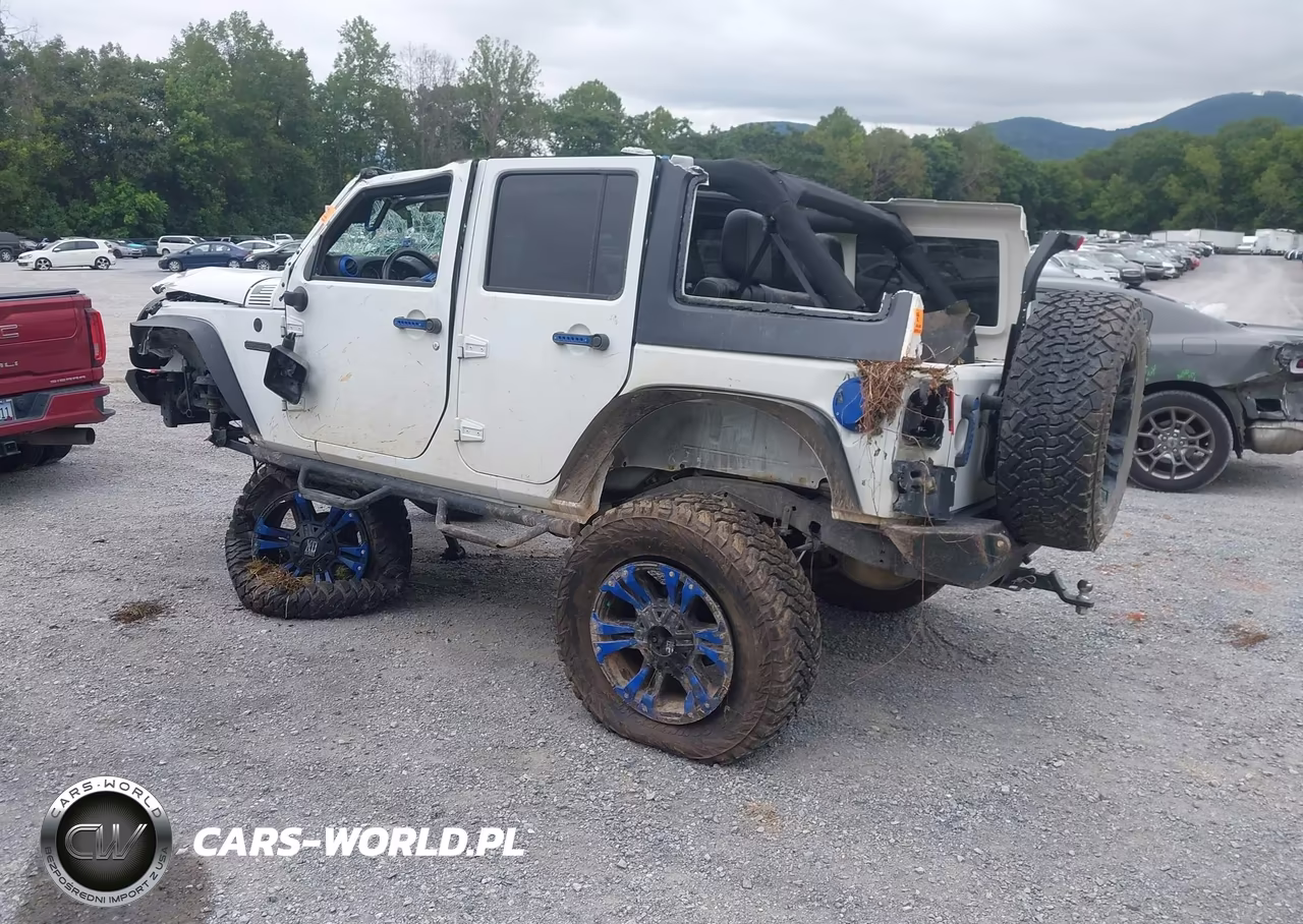 2017 Jeep Wrangler Unlimited Freedom 4X4 VIN:1C4HJWDG6HL604561 - 3