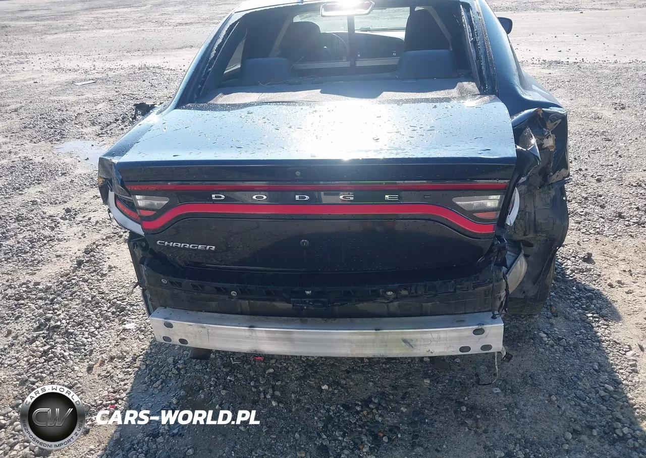2019 Dodge Charger Police Rwd VIN:2C3CDXAG5KH734142 - 18
