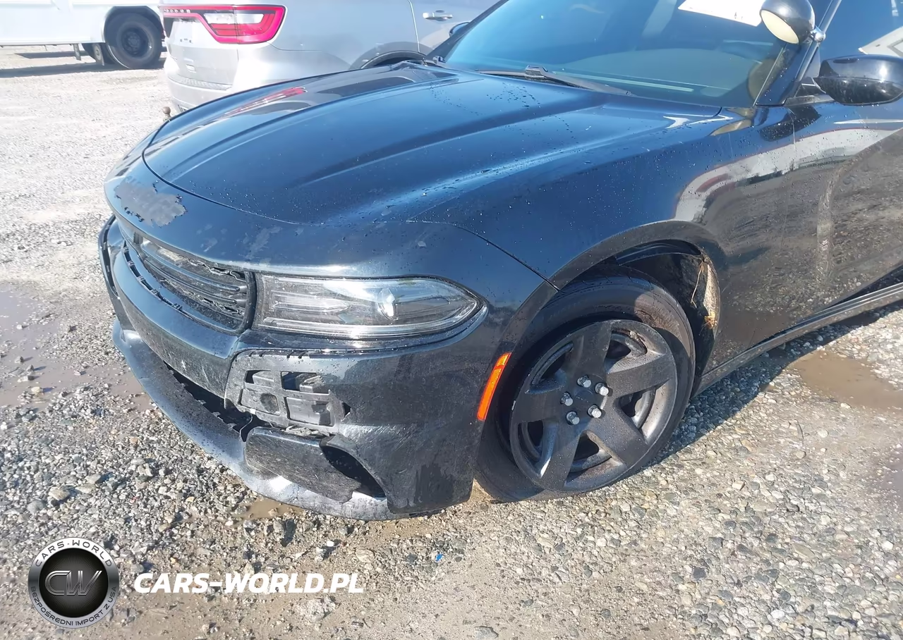 2019 Dodge Charger Police Rwd VIN:2C3CDXAG5KH734142 - 20