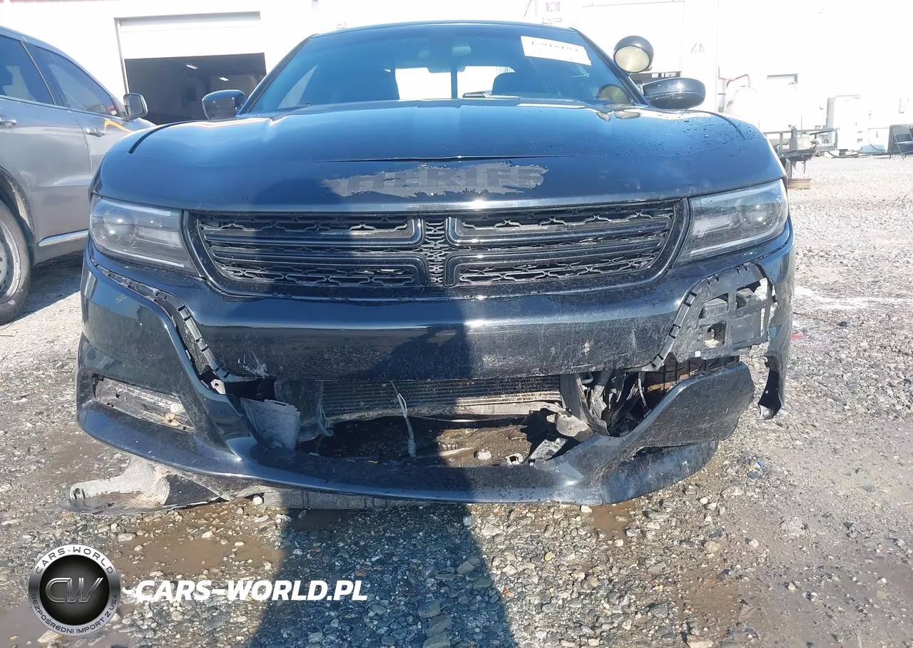 2019 Dodge Charger Police Rwd VIN:2C3CDXAG5KH734142 - 21