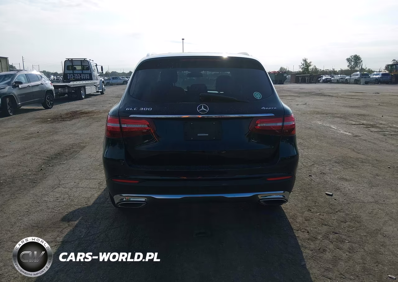 2019 Mercedes-Benz Glc 300 4Matic VIN:WDC0G4KBXKF641880 - 16