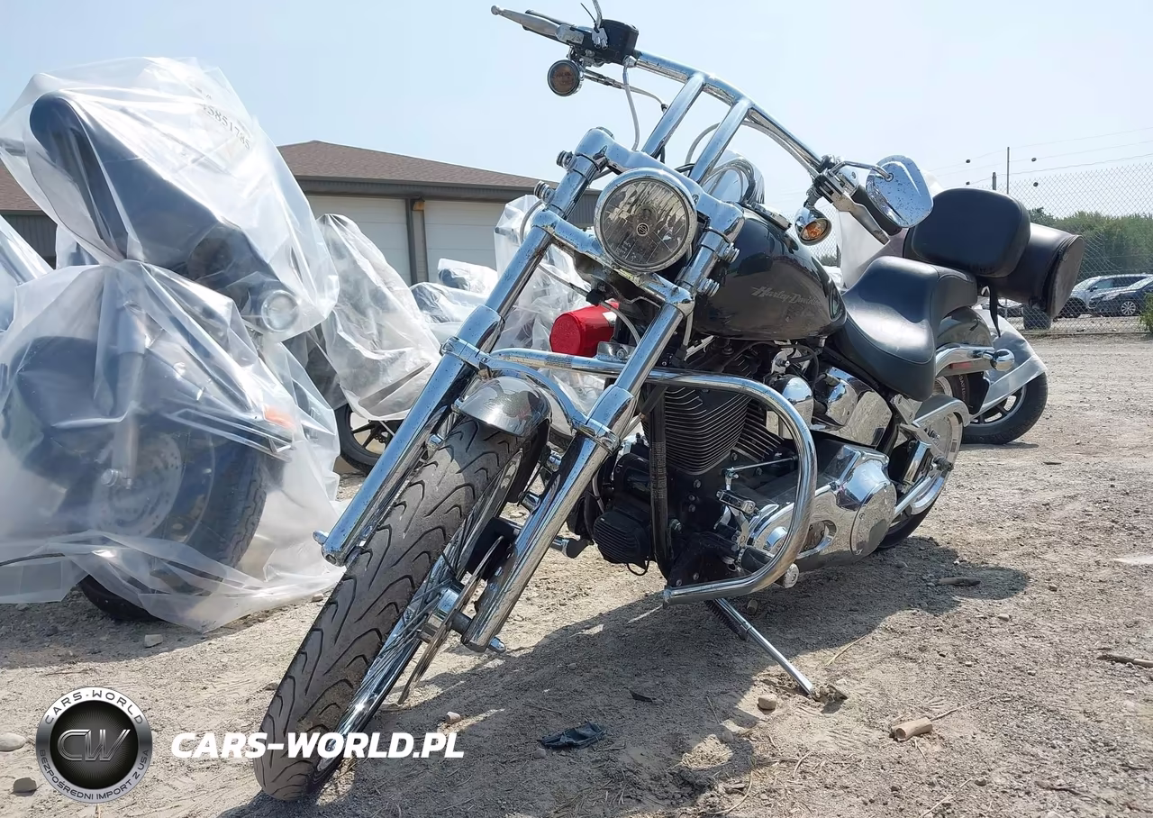 2006 Harley-Davidson Fxstdi VIN:1HD1JBB126Y045825 - 2