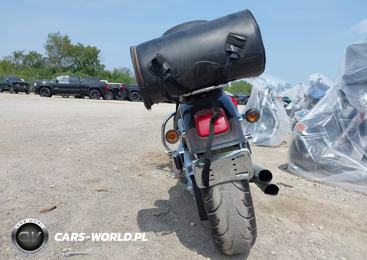 2006 Harley-Davidson Fxstdi VIN:1HD1JBB126Y045825 - 6