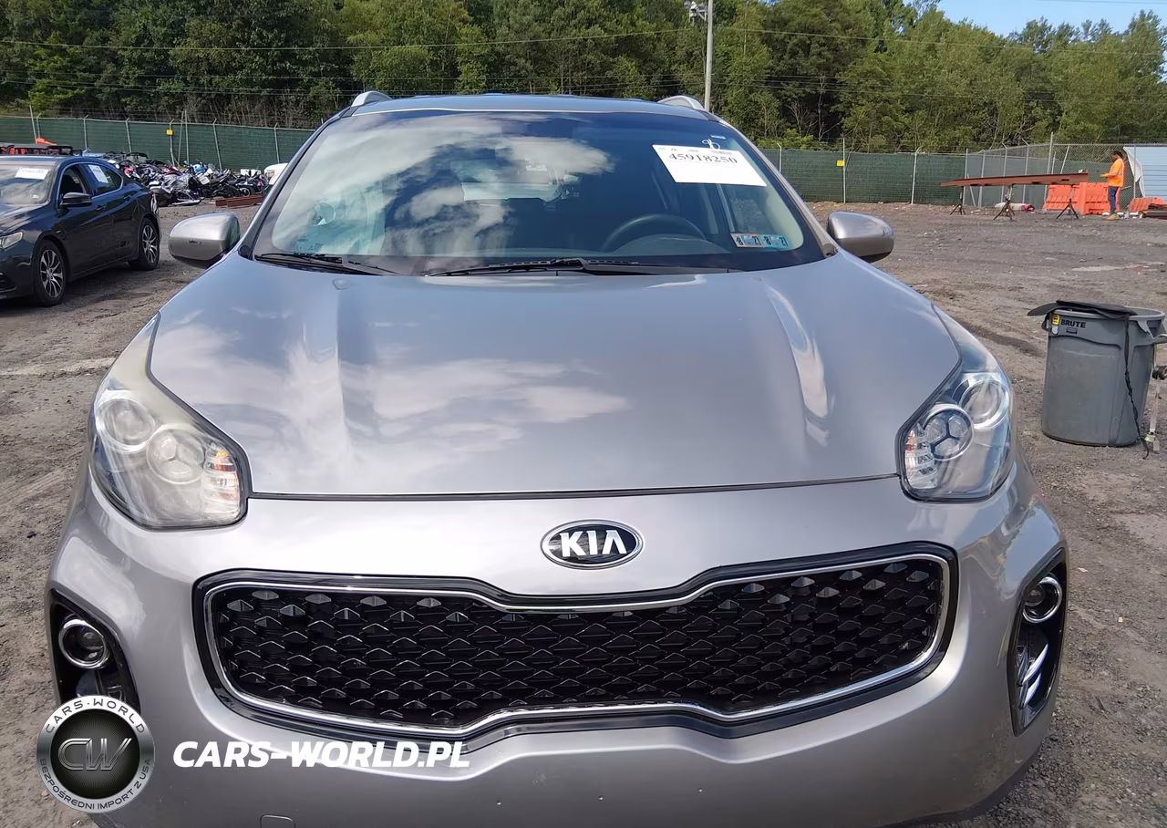 2019 Kia Sportage Lx VIN:KNDPMCACXK7606302 - 12