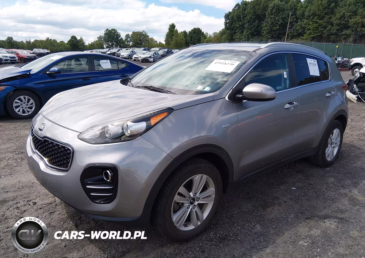 2019 Kia Sportage Lx VIN:KNDPMCACXK7606302 - 2