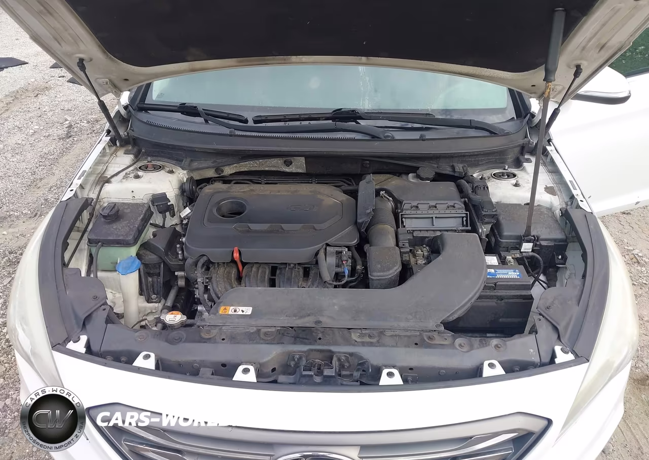 2016 Hyundai Sonata Sport VIN:5NPE34AF1GH428776 - 10