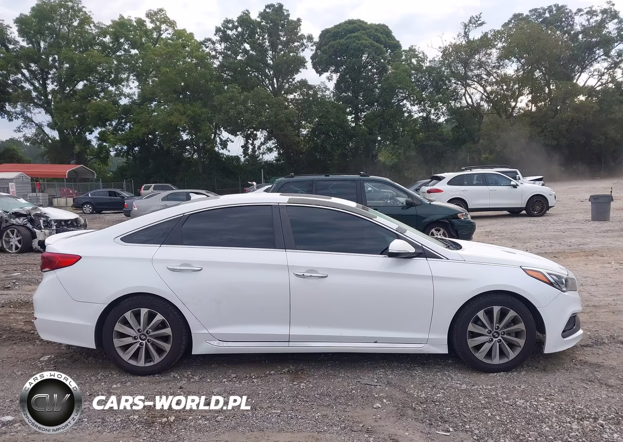 2016 Hyundai Sonata Sport VIN:5NPE34AF1GH428776 - 13