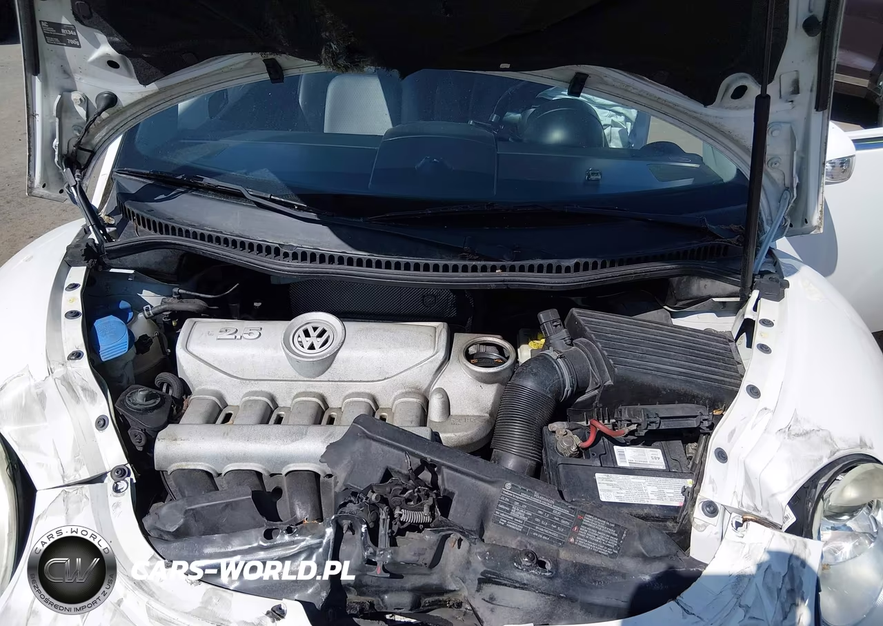 2010 Volkswagen New Beetle 2.5L VIN:3VWRW3AL5AM008669 - 10