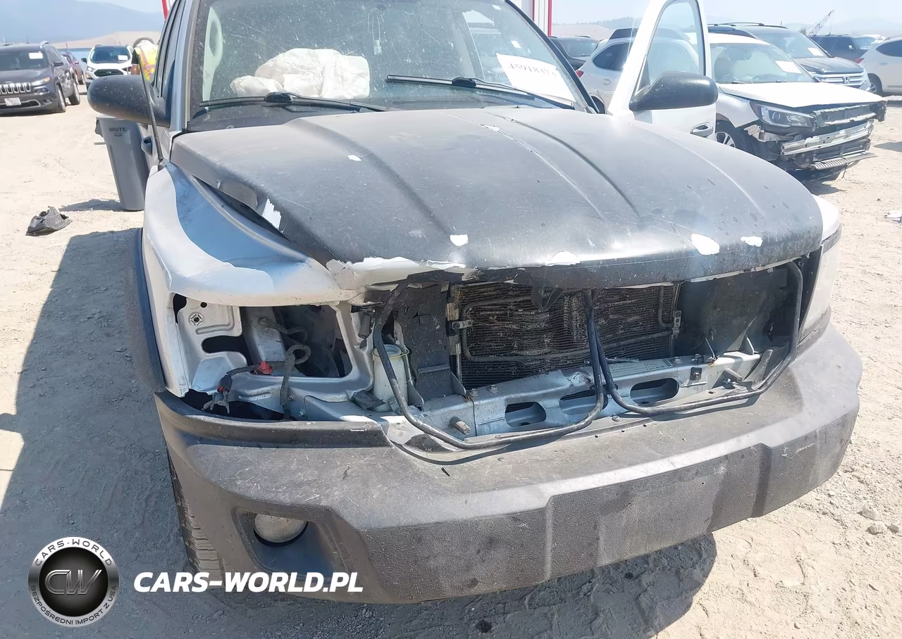 2009 Dodge Dakota Sxt VIN:1D7HW38P99S709862 - 6