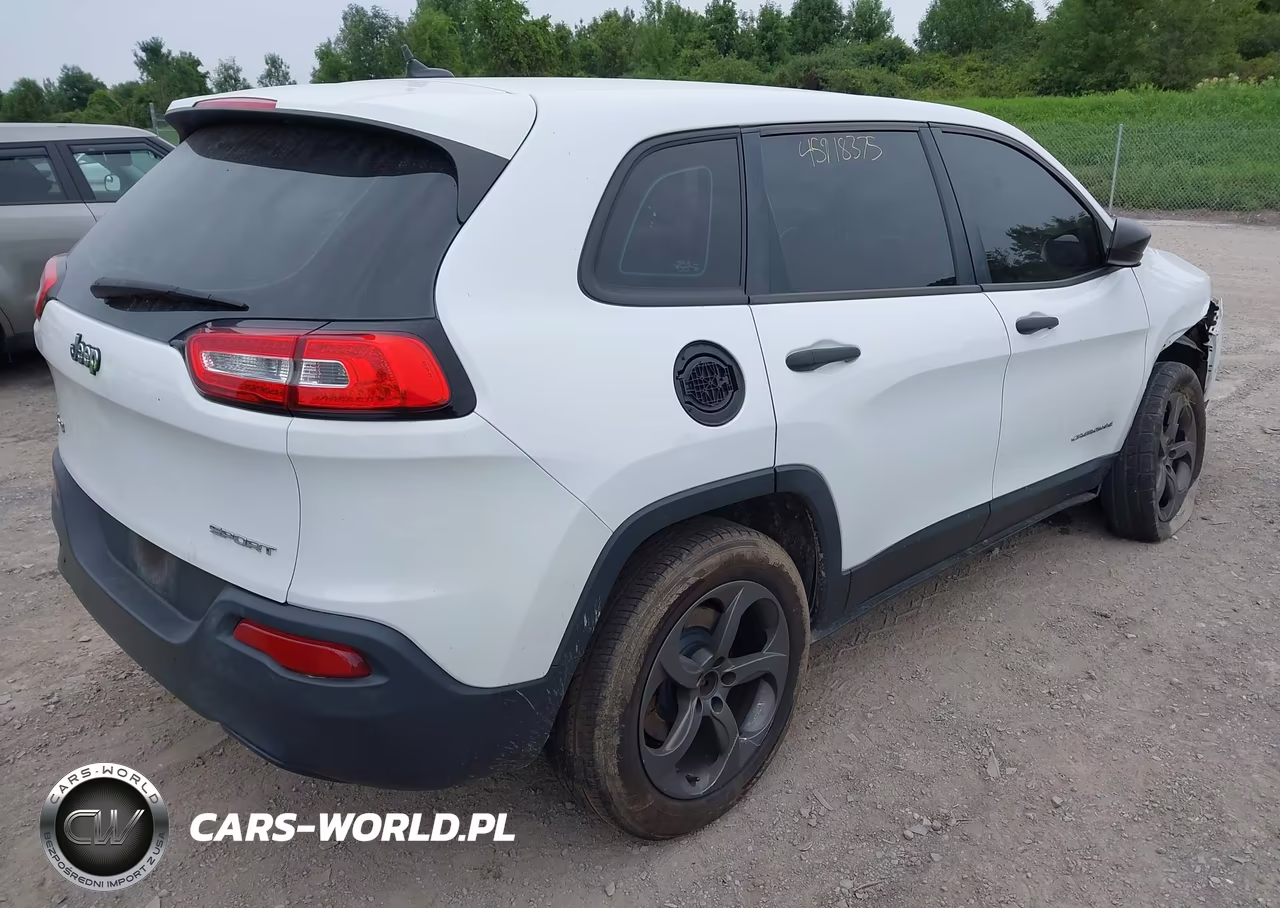 2014 Jeep Cherokee Sport VIN:1C4PJMAB6EW121431 - 4