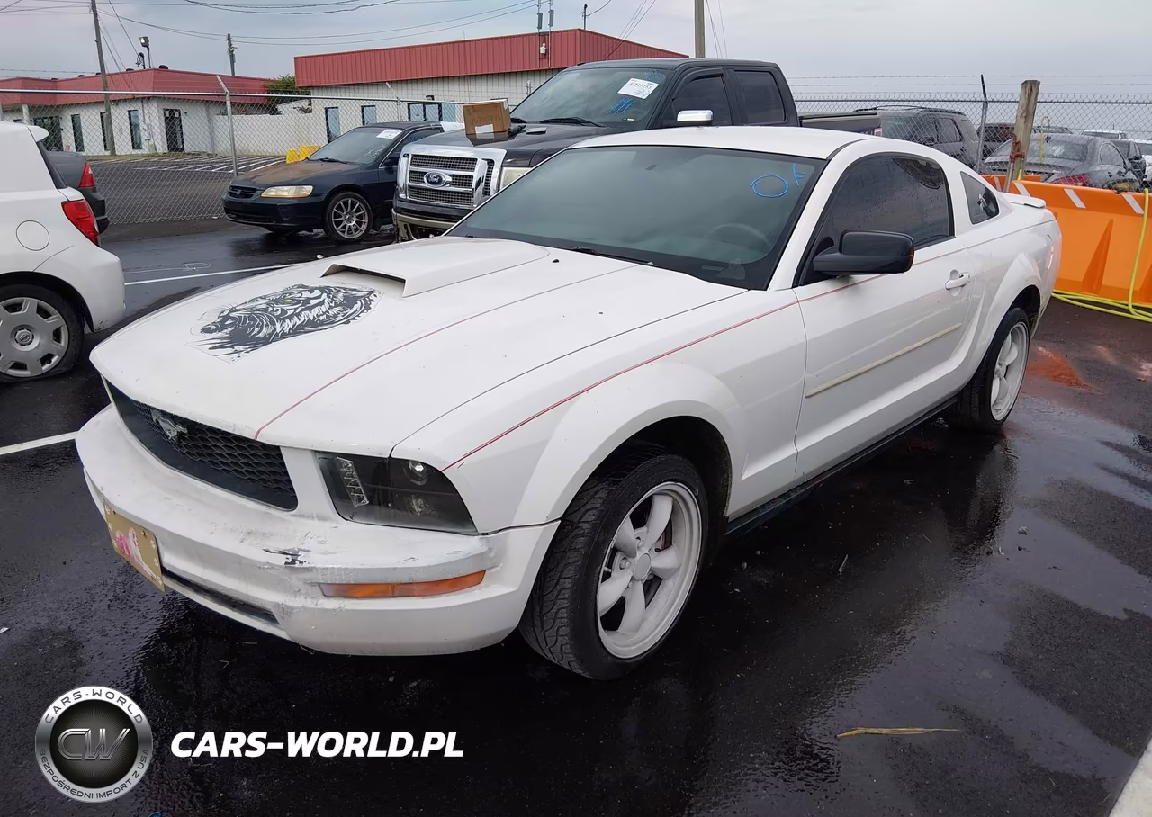 2005 Ford Mustang V6 Deluxe-V6 Premium VIN:1ZVFT80N255155426 - 2