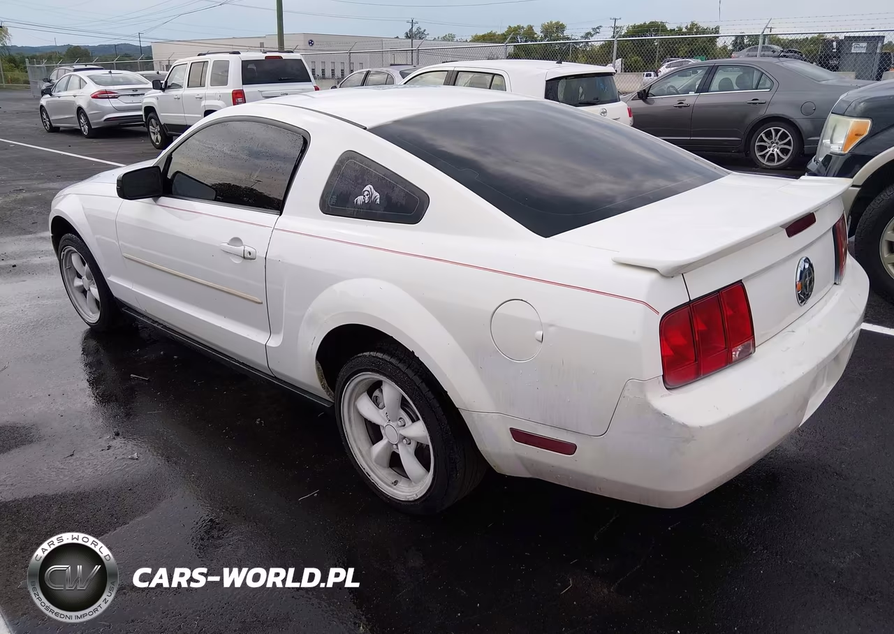 2005 Ford Mustang V6 Deluxe-V6 Premium VIN:1ZVFT80N255155426 - 3