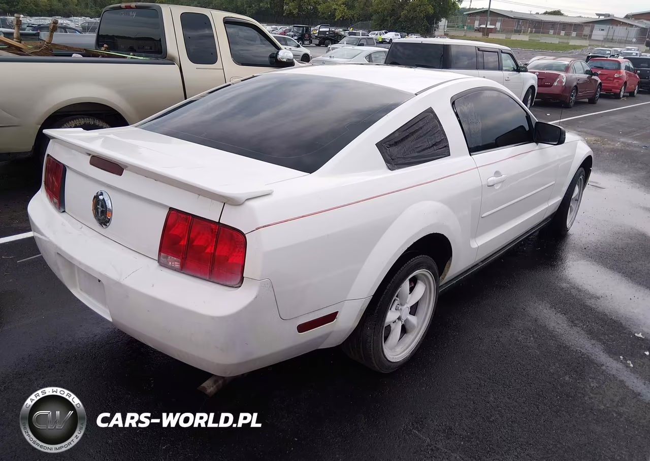 2005 Ford Mustang V6 Deluxe-V6 Premium VIN:1ZVFT80N255155426 - 4