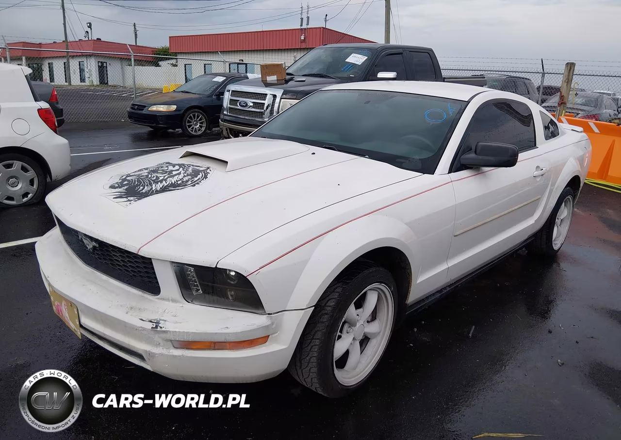 2005 Ford Mustang V6 Deluxe-V6 Premium VIN:1ZVFT80N255155426 - 6