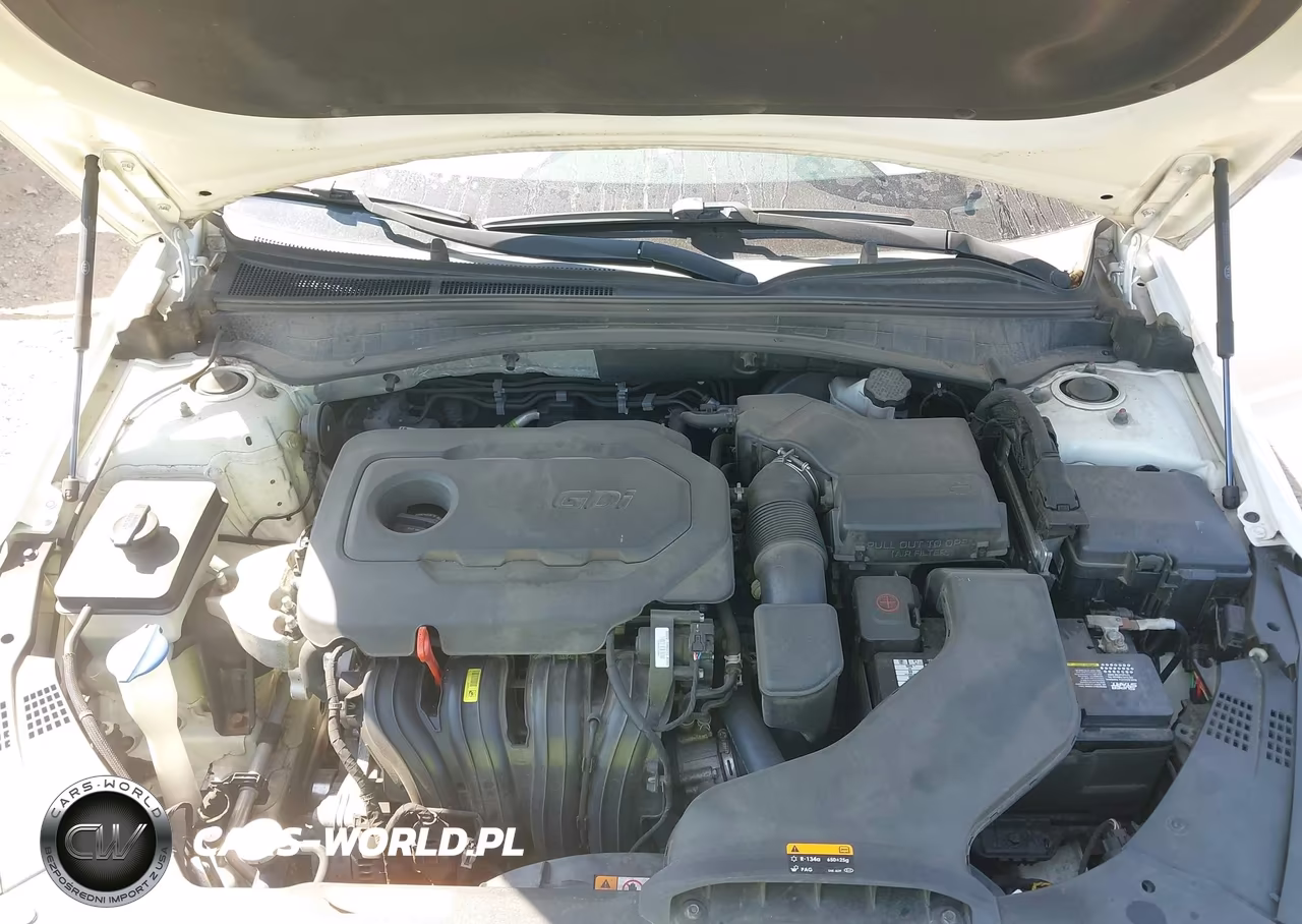 2016 Kia Optima Lx VIN:KNAGT4L31G5070202 - 10
