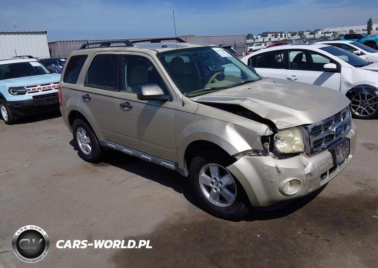 2010 Ford Escape Xlt