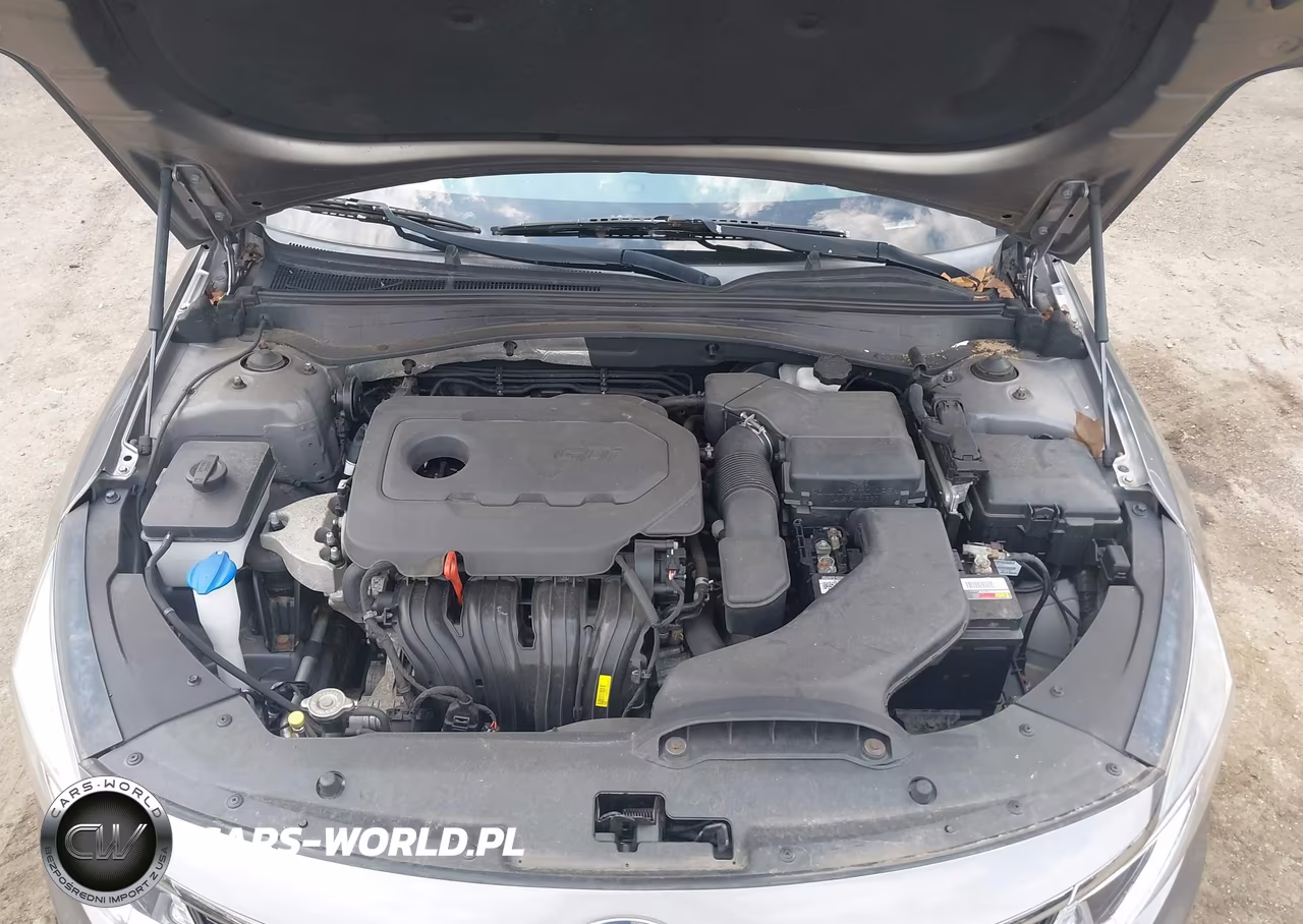 2016 Kia Optima Lx VIN:5XXGT4L3XGG092729 - 10